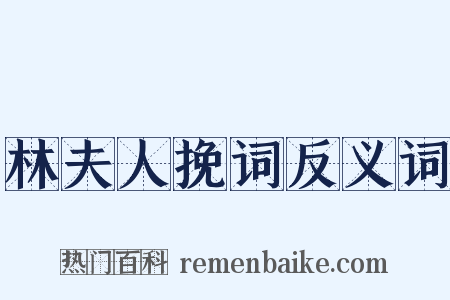 林夫人挽词反义词是什么意思的图片